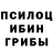 Галлюциногенные грибы прущие грибы Alex TD