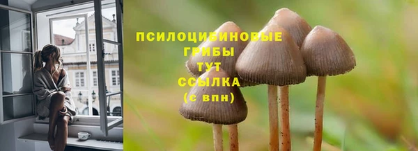 шишки Абдулино