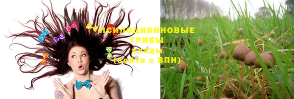 MESCALINE Абинск
