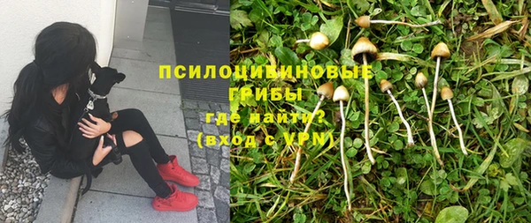 не бодяженный Абаза